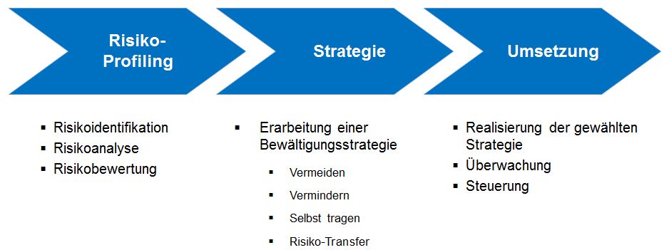 Grafik Risikomanagement_HandelsblattJournal.jpg