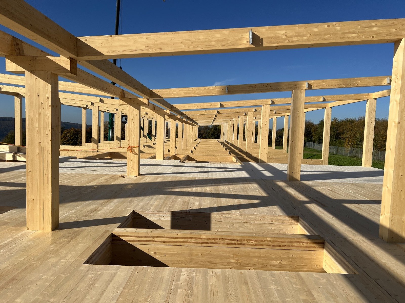 Holzrahmenbau_GreenPlaces.jpeg